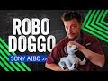 Sony Aibo Review: How Much Is That Robot In The Window?