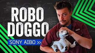 Sony Aibo Review: How Much Is That Robot In The Window? screenshot 5