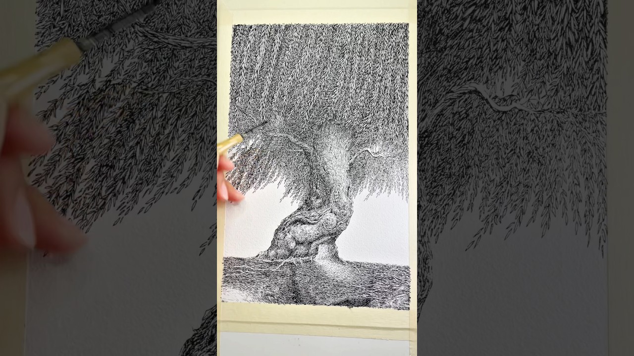 Willow tree dip pen and ink drawing on paper #howtodrawtexture #artist