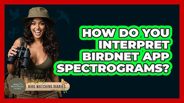 How Do You Interpret BirdNET App Spectrograms? - Bird Watching Diaries