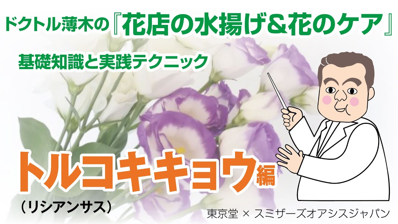 プロが教える 生花の水揚げと花のケア 花もちのコツ トルコキキョウ リシアンサス 編 Youtube