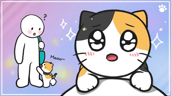 How To Raise A Kitten - 7 Tips For Kitten Care