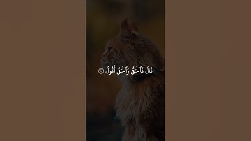 قران كريم راحة نفسية #قران_كريم #اكسبلور #muslimcontent #راحة #راحة_نفسية #vairal