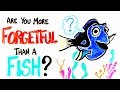 Are you more forgetful than a fish