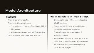 Grocery Classification: CNN vs. Vision Transformer