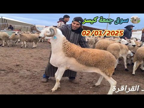 اليوم من سوق جمعة كيسر 02 01 2026 مع ثمن