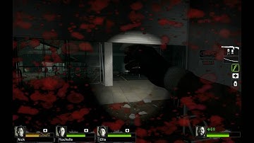 Left 4 Dead 2: Help me with this Lagg problem please -___-