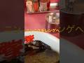 ラーメン山岡家のニンニク味変バージョン