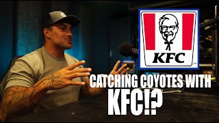 Frank Ortiz Catches Coyotes with K.F.C.!  Pest Talk Clips