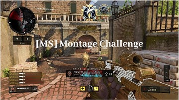 #MS1 MONTAGE CHALLENGE RESPONSE - Blurzi