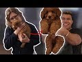 SURPRISING MY MOM WITH A PUPPY *EMOTIONAL*