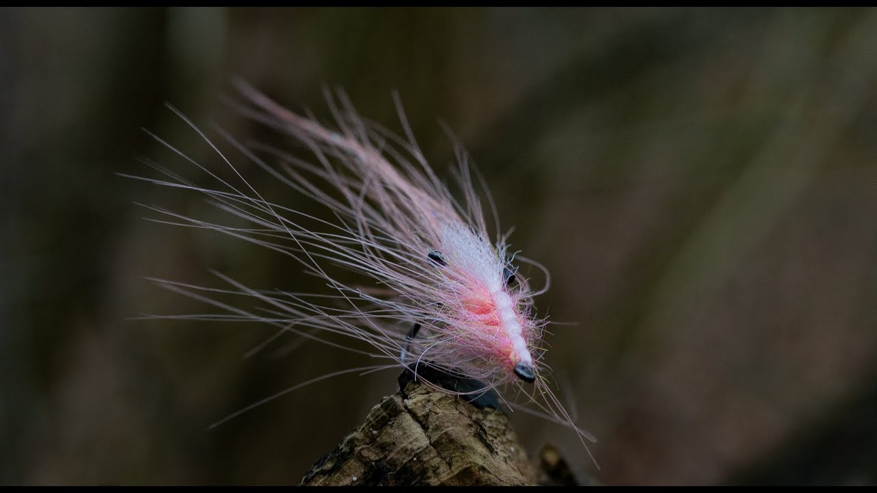 Original Pattegris - Claus Humle