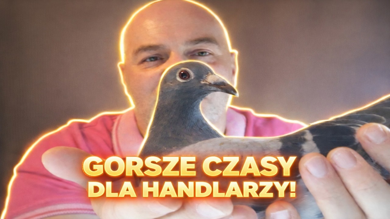 Coraz Gorsze Czasy dla Handlarzy!