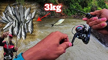 CÂU LURE SUỐI - Cuộc Phiêu Lưu Câu Cá Suối Sau Mùa Lũ Fishing Vlog