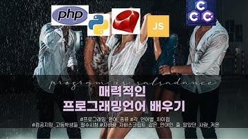 Java와 Javascript는 같은언어? / 프로그래밍 언어 종류 완벽 정리 / 개발자가 되고 싶다면 커몬
