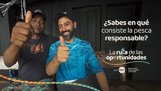 ¿Ya conocías la pesca responsable en Bahía Solano? | La Ruta de las Oportunidades | Grupo Éxito by Grupo Éxito Colombia 107,733 views 1 month ago 2 minutes, 3 seconds