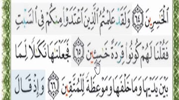 قراءة بالتهجى مع أحكام التجويد والمعنى الاجمالى للآية رقم 65و66من سورة البقرة