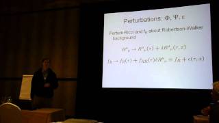 Edmund Bertschinger: Gravity on Cosmic Scales. Lecture 2 (Jan 12, 2011)