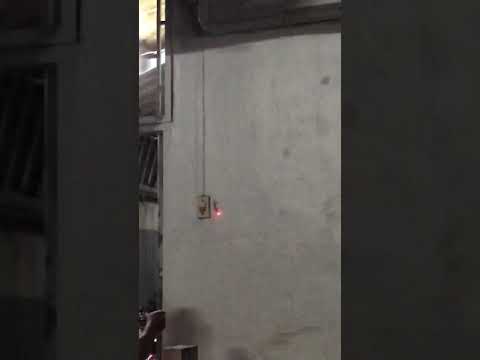 วีดีโอ: วิธีจับจิ้งจก (มีรูปภาพ)