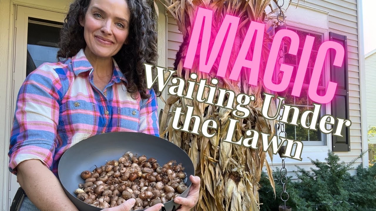 Как натурализовать луковицы крокусов для создания красочного весеннего газона