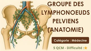 Groupe des lymphonoeuds pelviens (anatomie)