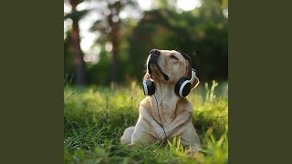 Calm Fetch Rhythm