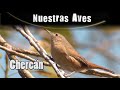CHERCÁN - Serie Nuestras Aves