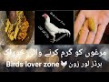 Murgh Ko Gram Kerny Ka Nuqsa مرغ کو گرم کرنے کا نقصہ