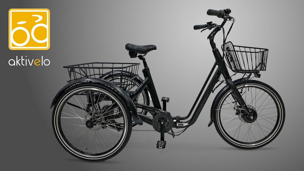 Aktivelo Elektro Dreirad 24 Zoll Gebraucht