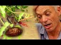Brazilian People Under Real Threat From Electric Eels | EELS | River Monsters