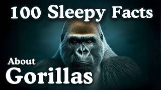 The Most Relaxing Facts About Gorillas to Fall Asleep To — No Adverts screenshot 5