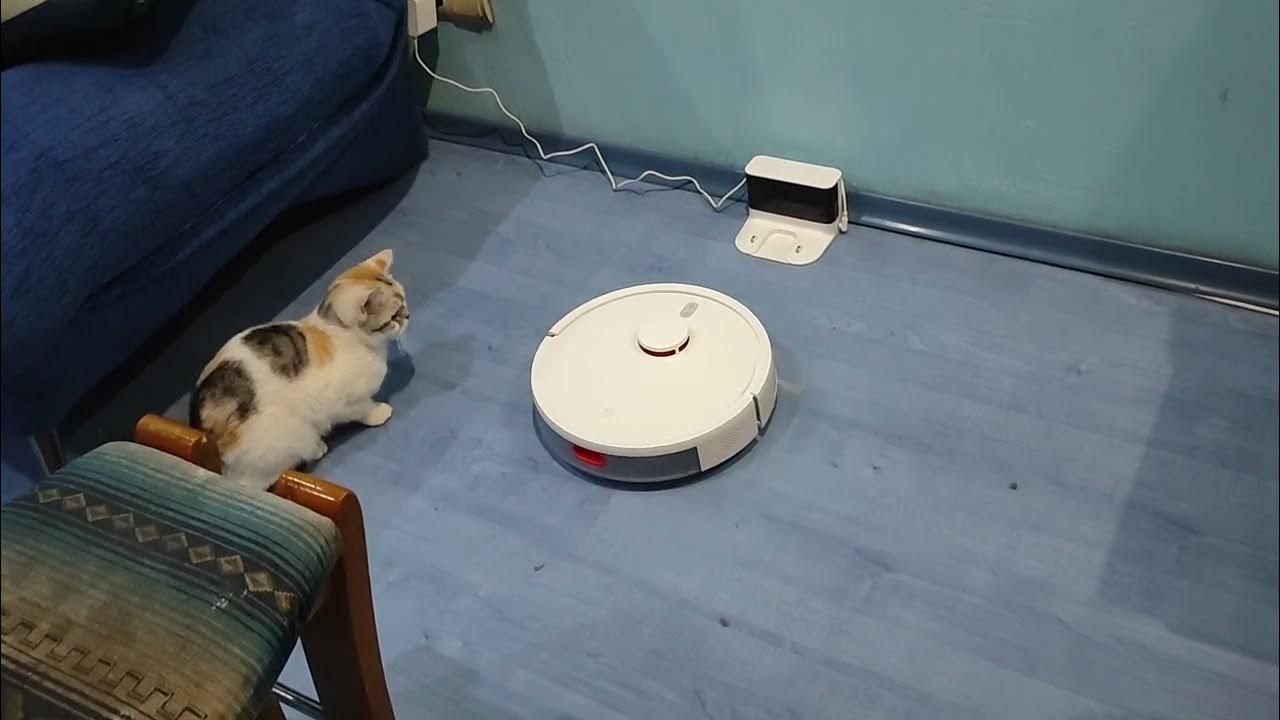 Робот пылесос Xiaomi mijia 3c Plus возвращается на базу - YouTube