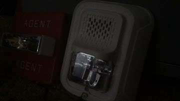 Agent Wheelock  RSS - 24MCW Remote Strobe + System Sensor L Series CHSWL Chime Strobe