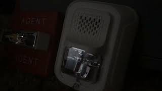 Agent Wheelock  RSS - 24MCW Remote Strobe   System Sensor L Series CHSWL Chime Strobe