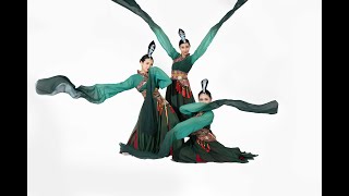 A graceful Chinese water-sleeve dance ”Spring Outing“ ! 💃💃