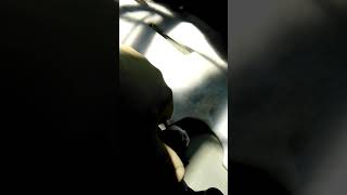 2011 Buick Lucerne drivers window motor and regulator . Meineke cinnaminson