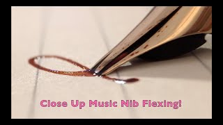 Music Nib Fountain Pen Satisfying Inky Fun!