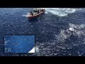 Intense Footage of U.S. Coast Guard Fires Warning Shots Versus Shark