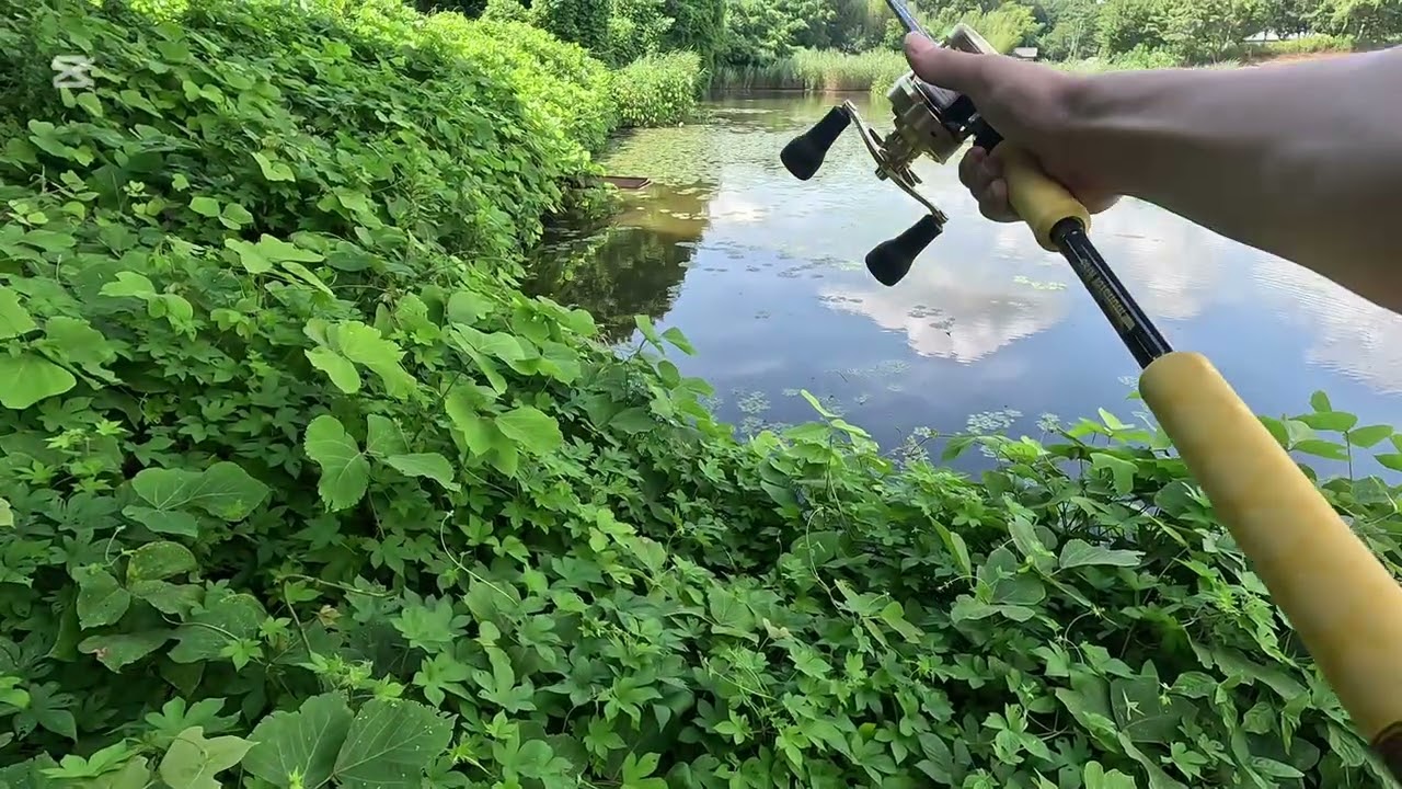 Shimano Calcutta Conquest MD 301XGLH 