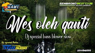 DJ WES OLEH GANTI HOREG TERBARU 2021 | SGR AUDIO WAGIR