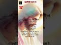 Bible Verses #bible #jesus #Verses #Catholic #Motivation