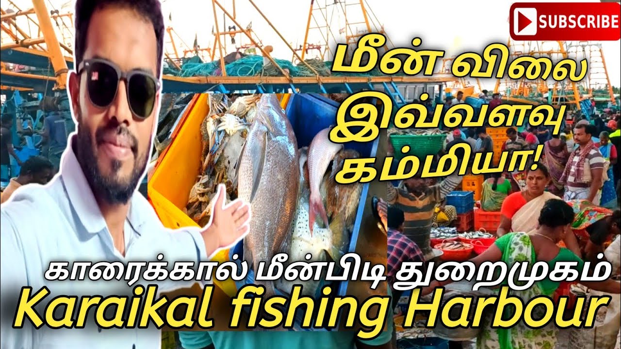 💥#Karaikal harbour/மீன் விலை இவ்வளவு கம்மியா! Karaikal #fish #market
