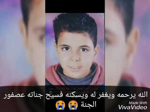 دمياط محافظة الزرقاء 