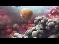 Car t cell therapy explained animation  city of hope