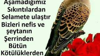 A Mesajları En Güzel A Mesajları Semanın Renkli Dünyası