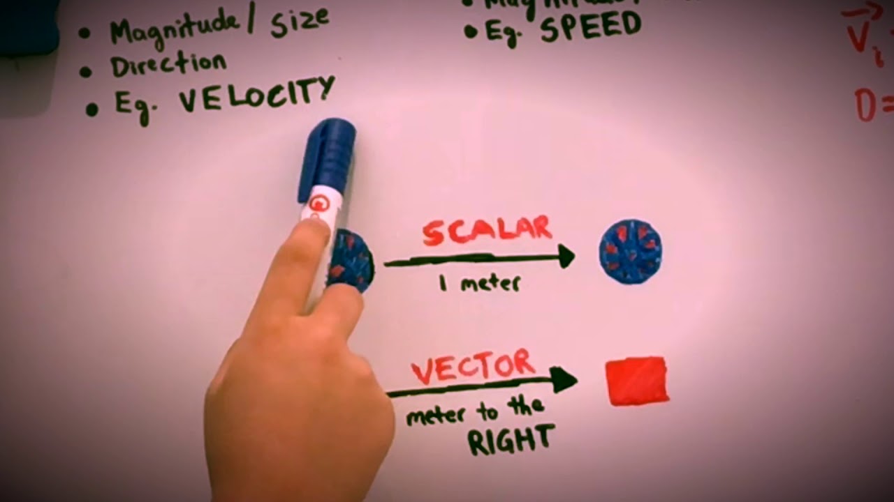 Intro to Vectors and Scalars - YouTube
