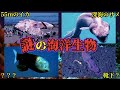 【実在】専門家を困惑させるヤバすぎる海洋生物5選
