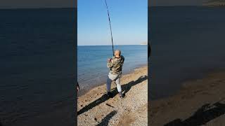 Ψάρεμα Συναγρίδας στη Β. Ελλάδα - Dentex Fishing