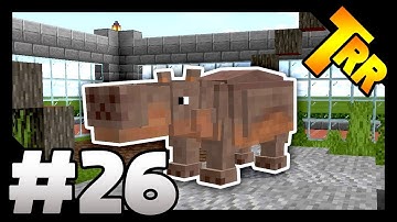 HIPPOS ARE HERE! - Let