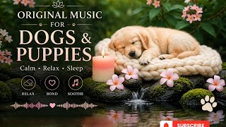 Music for dogs| 55 BPM Calming Piano & Cello for Dog Anxiety & Human Deep Sleep